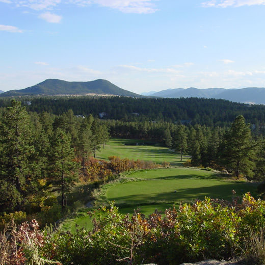 Bear Dance, The Golf Club at Colorado AvidGolfer