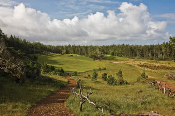 Top 5 Reasons to Visit Bandon Dunes | Colorado AvidGolfer