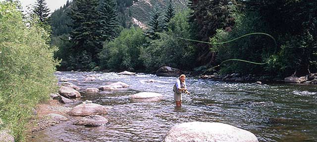 Summer Fly Fishing in Vail, Colorado