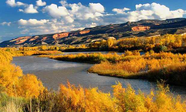 Fall colors on the Colorado River