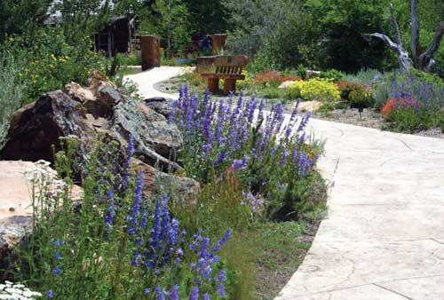 Betty Ford Alpine Gardens