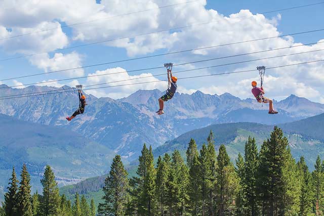 Epic Discovery Ziplines