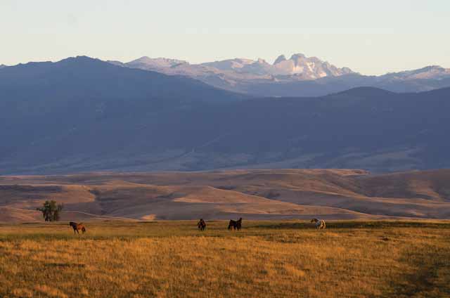 The Big Horn Mountains