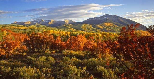 Aspen-Colorado-Autumn-Colors