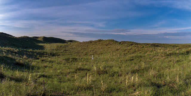 Ballyneal new short course 2017