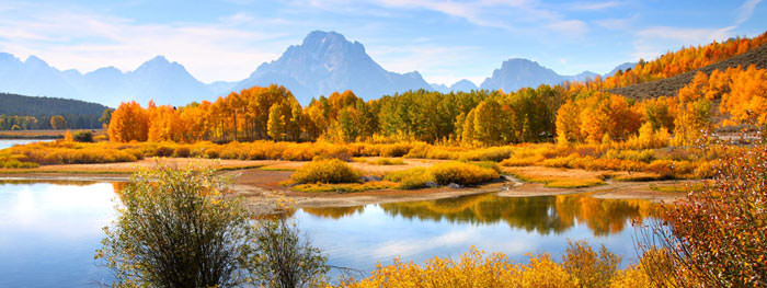 The fall colors aren't just for Colorado. Wyoming shows off plenty of gold in the fall