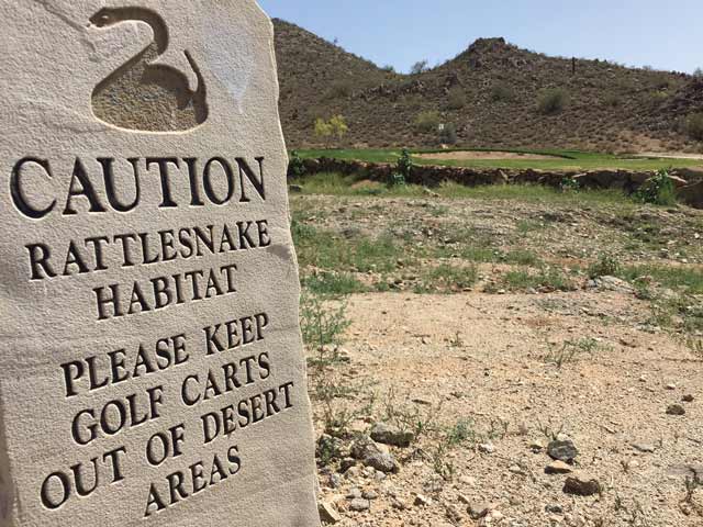 What to do if you get a snakebite on the golf course