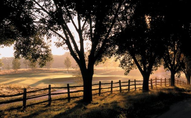 The Bull at Pinehurst Farms