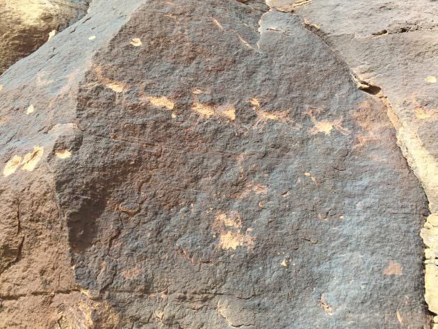Petroglyphs, like these at Escalante Canyon 