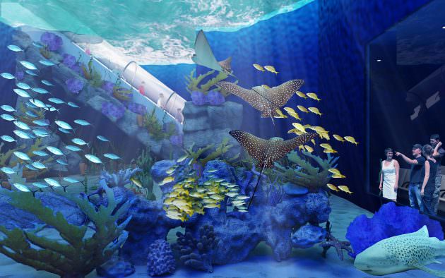 the OdySea Aquarium