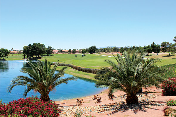 summerlin las vegas palm valley