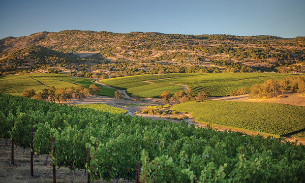 silver oak winery