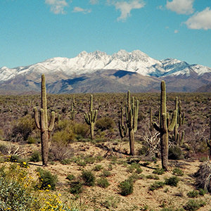 Snow Capped Peaks - Rio Verde