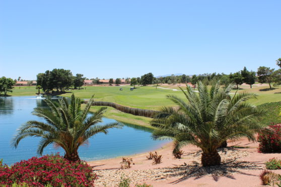 Palm_Valley_Summerlin_Nov28