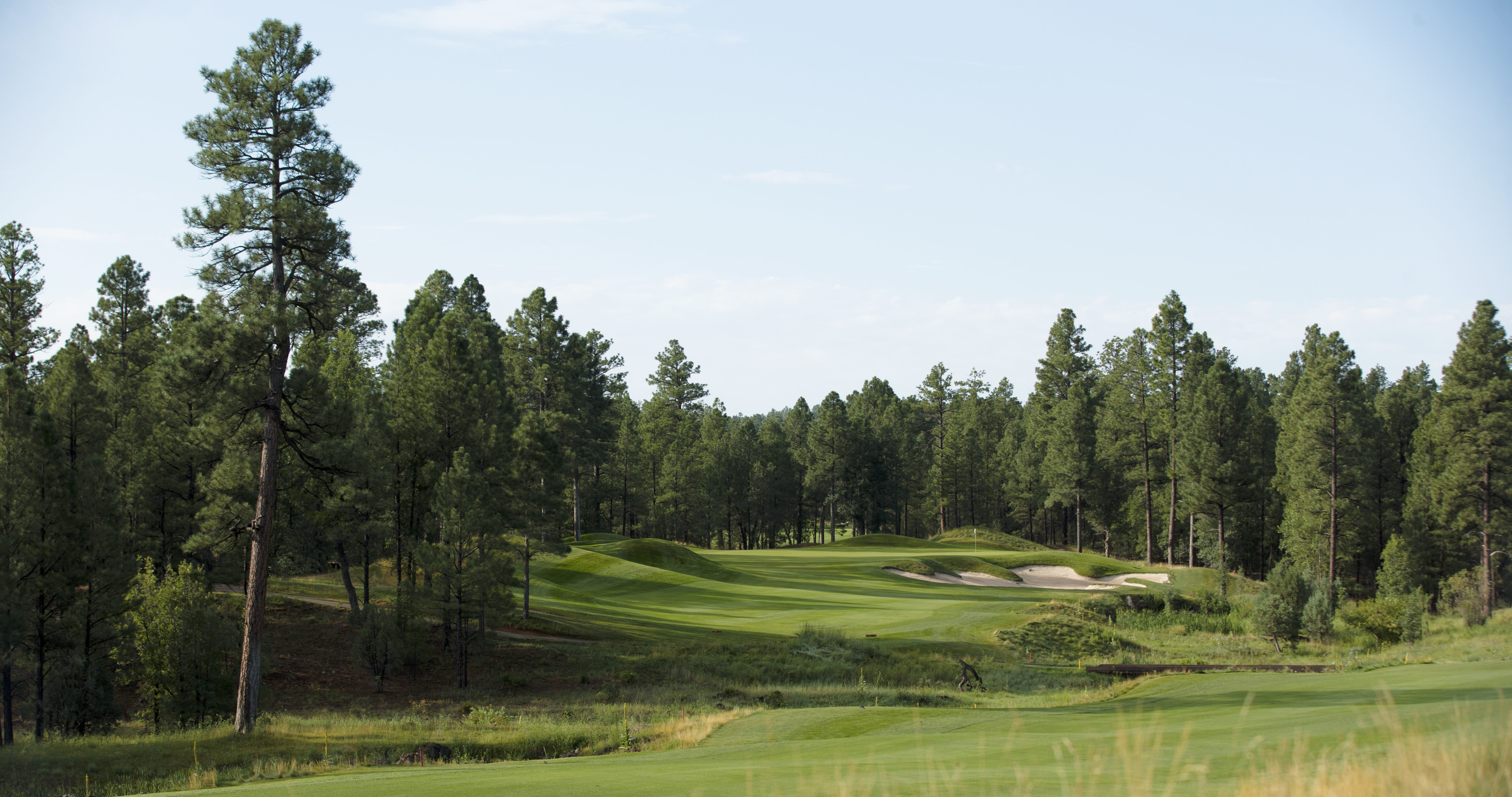 Torreon, Show Low, Arizona Golf course information and reviews.