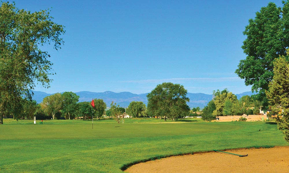 Desert Hawk at Pueblo West