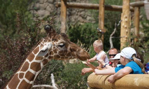 Colorado Springs Zoo