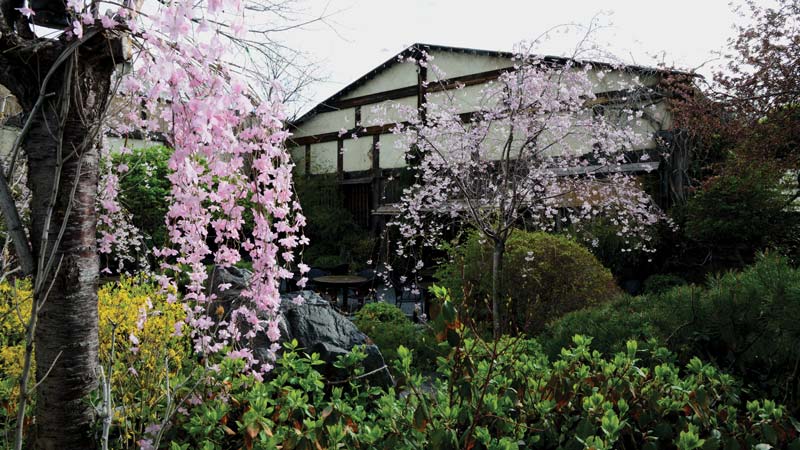 Gardens in Domo - Denver, Colorado - a great place to wine and dine