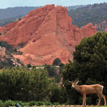 Garden of the Gods Park