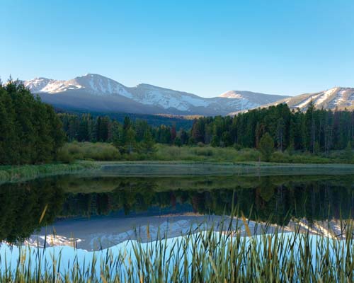 Mary's Pond