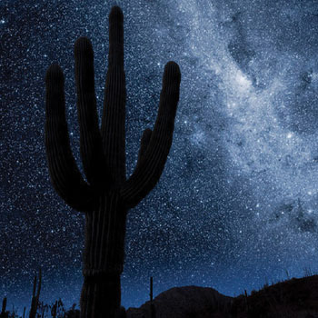 Stargazing in Tucson