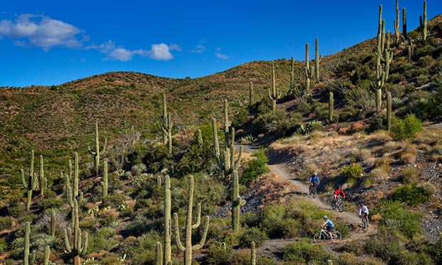 Mountain biking trails near Desert Mountain