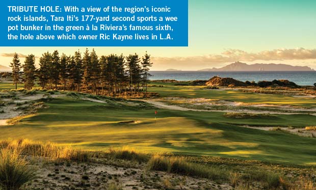 The par-3 second hold at Tara Iti in New Zealand