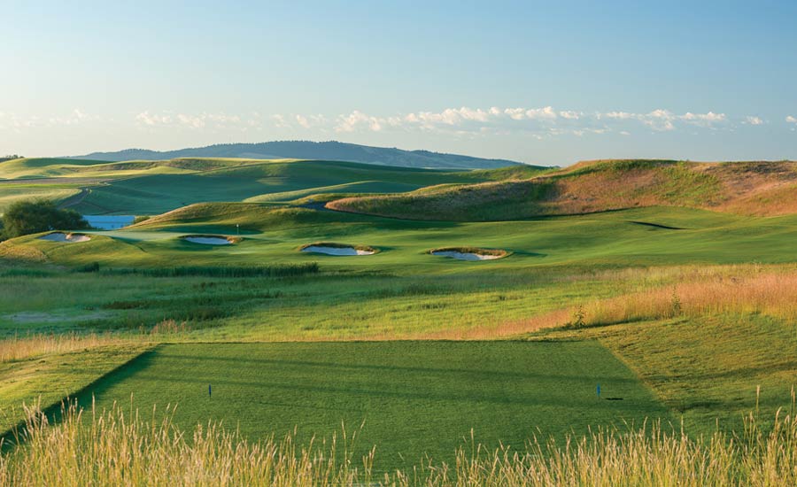 A REACHABLE RISK: With bunkers angling towards the flag, Palouse Ridge’s 307-yard par-4 15th tempts the gambling golfer to drive the green rather than place a tee shot in the ample fairway to the right.