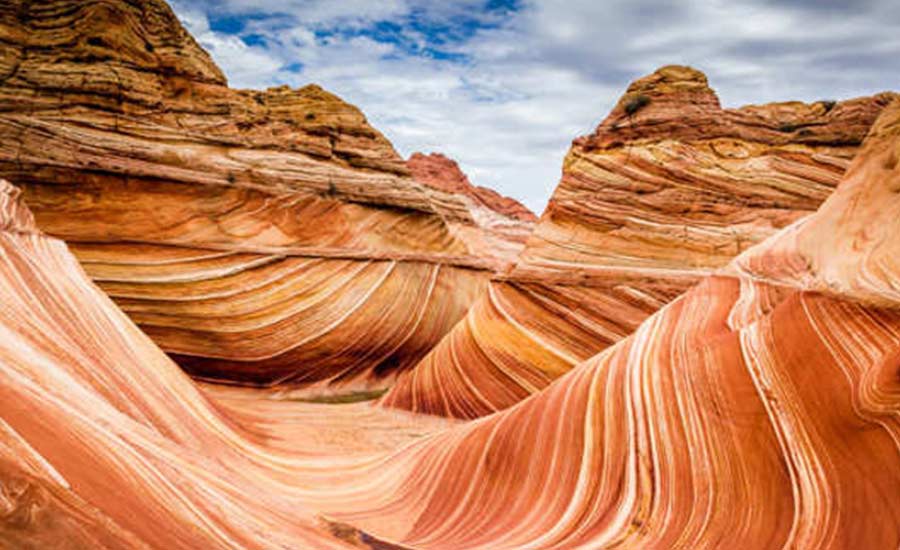 The Wave Canyon