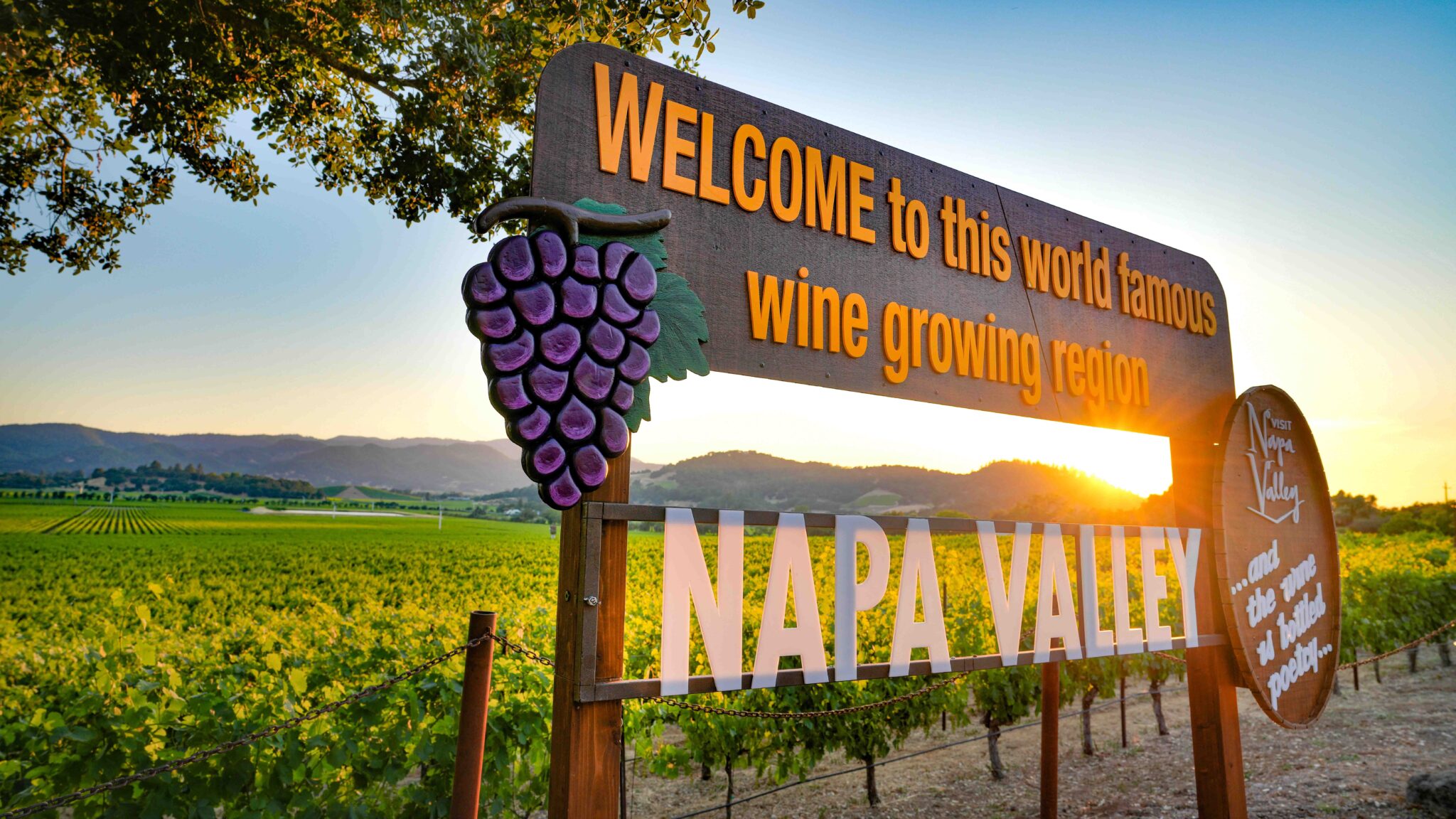 Getting Napa Valley Savvy - Colorado AvidGolfer